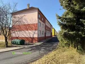 Pronájem bytu 2+1, Habartov, Raisova, 58 m2