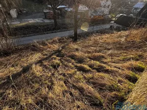 Prodej chalupy, Sloupnice, 70 m2