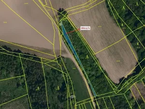 Dražba lesa, Bojkovice, 420 m2