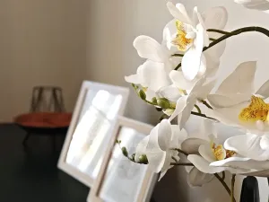 Pronájem bytu 2+kk, Praha - Žižkov, Žerotínova, 45 m2