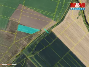 Prodej pole, Cetkovice, 12648 m2