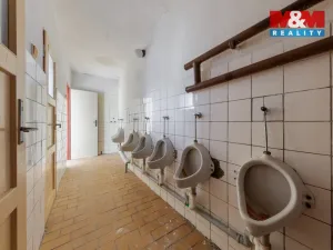 Prodej obchodního prostoru, Abertamy, Bož. Němcové, 800 m2