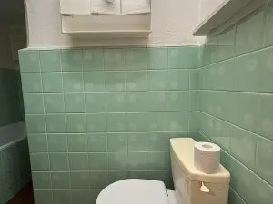 Pronájem bytu 2+1, Ostrava - Nová Ves, Západní, 55 m2