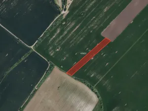 Prodej pole, Hustopeče, 24575 m2