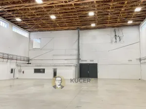 Prodej výrobních prostor, Kostelec nad Labem, Neratovická, 3457 m2