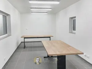 Prodej výrobních prostor, Kostelec nad Labem, Neratovická, 3457 m2