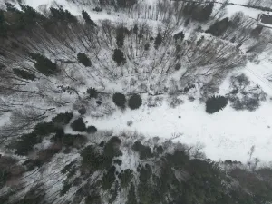 Prodej pozemku, Adršpach, 67106 m2