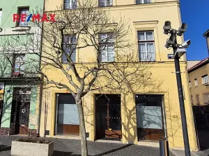 Pronájem obchodního prostoru, Mladá Boleslav, Bělská, 118 m2