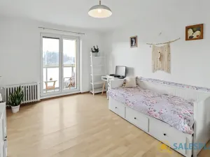 Prodej bytu 2+1, Nové Město na Moravě, Mírová, 60 m2