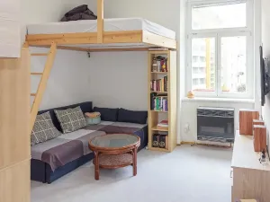 Pronájem bytu 1+kk, Brno, Zahradnická, 35 m2