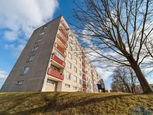 Prodej bytu 2+1, Vysoké Mýto, V Peklovcích, 59 m2