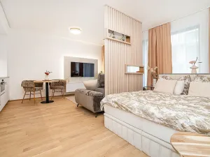 Pronájem bytu 1+kk, Praha - Hodkovičky, Šenácká, 60 m2