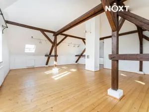 Prodej rodinného domu, Březno, 380 m2