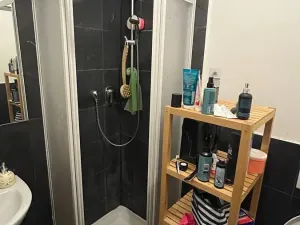 Pronájem bytu 3+kk, Praha - Vyšehrad, Neklanova, 60 m2