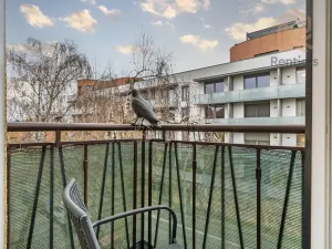 Pronájem bytu 2+1, Praha - Kobylisy, Březiněveská, 69 m2