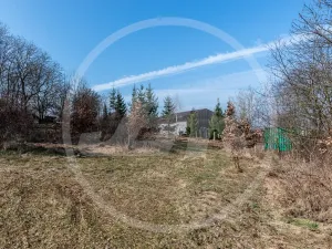 Prodej zahrady, Divišov, 1034 m2