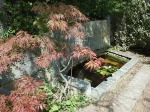 Prodej chaty, Kunštát, 60 m2