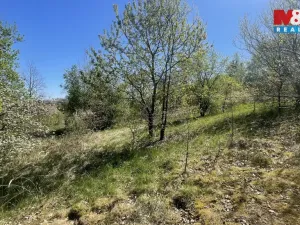 Prodej pozemku pro bydlení, Blatná - Čekanice, 3556 m2