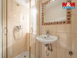 Prodej bytu 1+1, Kladno - Kročehlavy, U výtopny, 35 m2