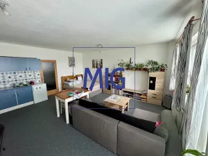 Pronájem bytu 1+kk, Brno, Tomečkova, 44 m2