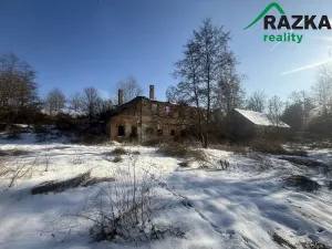 Prodej pozemku, Planá, 2371 m2