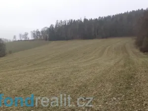 Prodej pole, Zvěstov, 51947 m2