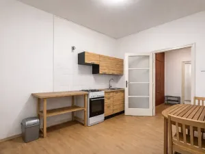 Pronájem bytu 1+1, Brno, Mezírka, 43 m2