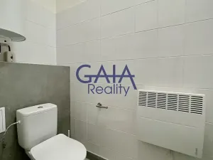 Pronájem bytu 1+kk, Veselí nad Moravou, Zámecká, 44 m2