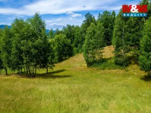 Prodej pozemku, Dlouhý Most, 8531 m2