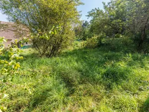 Prodej rodinného domu, Konice, 300 m2