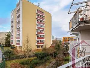 Pronájem bytu 1+kk, Praha - Podolí, Jeremenkova, 44 m2