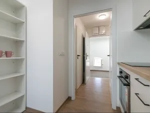 Pronájem bytu 1+kk, Brno, Poštovská, 39 m2