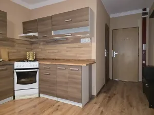 Pronájem bytu 1+1, Krupka, Karla Čapka, 36 m2