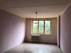 Prodej bytu 2+1, Cebiv, 90 m2