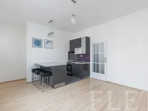 Prodej bytu 1+kk, Praha - Žižkov, Biskupcova, 28 m2