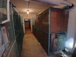 Prodej bytu 3+1, Sokolov, Poláčkova, 80 m2