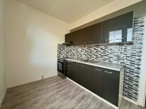 Prodej bytu 1+1, České Budějovice, V. Volfa, 41 m2