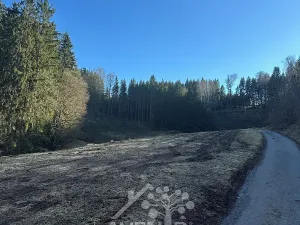 Prodej louky, Bozkov, 15029 m2