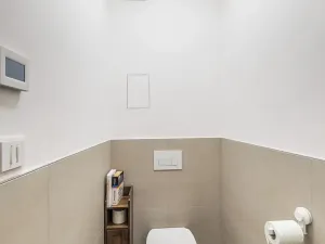 Prodej bytu 2+kk, Brno, Letní, 48 m2