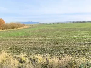 Prodej pole, Cheb, Nižnětagilská, 17000 m2