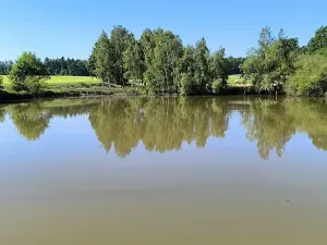 Prodej rybníku, Okrouhlá, 6048 m2