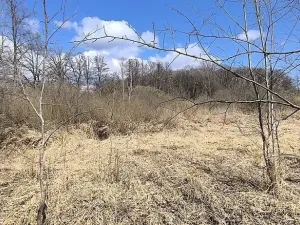 Prodej pole, Františkovy Lázně, 7083 m2