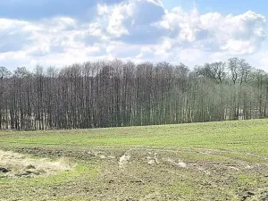 Prodej pozemku, Františkovy Lázně, 11892 m2