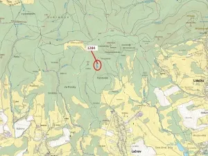 Dražba lesa, Lačnov, 3805 m2