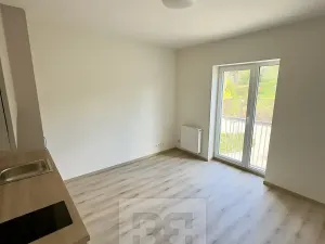 Pronájem bytu 1+kk, Tuchoměřice, V Kněžívce, 22 m2