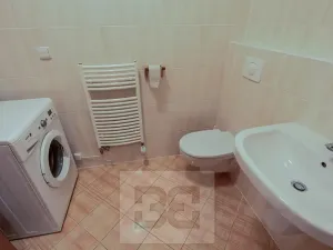 Pronájem bytu 2+kk, Praha - Holešovice, V háji, 54 m2