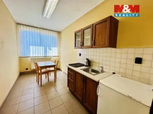 Pronájem skladu, Dražice, 822 m2