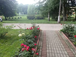 Pronájem bytu 1+kk, Liberec, Rychtářská, 19 m2