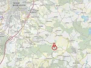 Prodej podílu lesa, Ledenice, 2894 m2