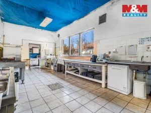 Prodej ubytování, Mšeno, 757 m2